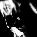 Обложка трека Pale