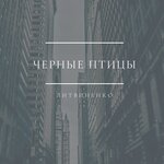Обложка трека Чёрные птицы
