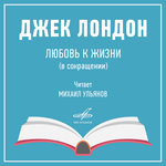 Обложка трека Любовь к жизни: Ещё один туманный день