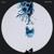 The Language of the Heart - Clulow