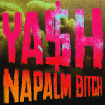 Обложка трека Napalm Bitch
