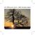 Pale Green Things - the Mountain Goats