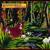 Rainforest Suite - Surface - Robert Rich