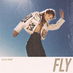 Обложка трека Fly