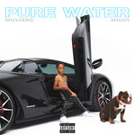 Обложка трека Pure Water