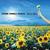Sour Girl - Stone Temple Pilots
