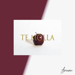 Обложка трека Te Molla