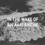 Обложка трека In the Wake of an Avalanche