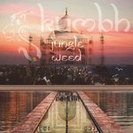 Обложка трека Bom Istuti