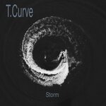 Обложка трека Storm