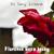 Deathhead - Florence Gets Lucky