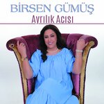 Обложка трека Ayrılık Acısı