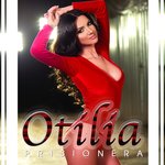 Обложка трека Prisionera