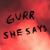 Fake News - Gurr