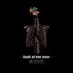Обложка трека Look at Me Now