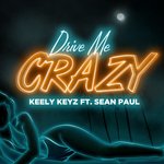 Обложка трека Drive Me Crazy