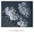 Grushin: Transizione - Egor Grushin