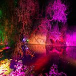 Обложка трека Alterliverpool