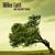 Elvis - Mike Lott