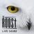 Downtown - The Roost