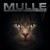 Koin Schdress - Mulle