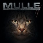 Обложка трека D'prinzessin ond d'r Lakai
