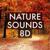 Campfire White Noise - Nature Sounds 8D