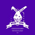 Обложка трека Intuition
