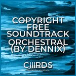 Обложка трека Orchestral: Intro