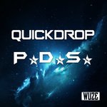 Обложка трека P.D.S.