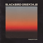 Обложка трека Tangerine Sky