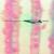 l.a.s.i.k. - Matmos
