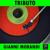 La fisarmonica - Tribute Band