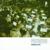 Over - Portishead