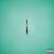Summer Ends - The Raveonettes