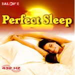 Обложка трека Perfect Sleep Phase 8