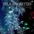 Christmas In Cleveland - The Raveonettes