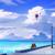 Winter Winds - Lofi Fruits Music