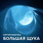Обложка трека Большая щука