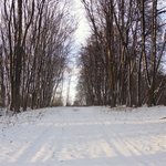 Обложка трека И снова на сердце печаль