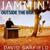 Chasing Pavements - David Garfield