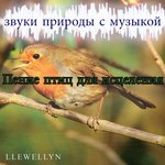 Обложка трека Пение птиц для исцеления: звуки природы