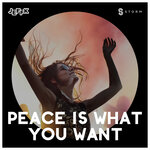 Обложка трека Peace Is What You Want