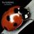 Skin And Bones - The Sundays
