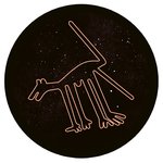 Обложка трека Contact