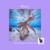 Circus Mornings - Mury