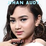 Обложка трека Pamer Bojo
