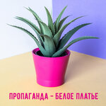 Обложка трека Белое платье