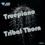 Обложка трека Thorn Penetration
