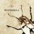 Overshadow - Splendidula